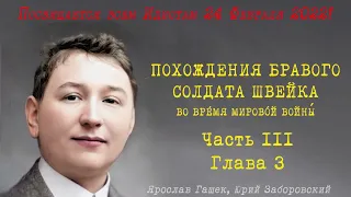 Похождения Бравого Солдата Швейка Часть III, Глава 3** — Ярослав Гашек — Читает Юрий Заборовский