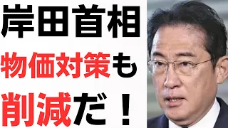 岸田首相・物価高騰対策も削減だ！