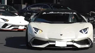 【SuperCar Shot】ゾンダ ランボ TOKYO  SuperCars 都内スーパーカー Zonda Lamborghini  Ferrari  2019/03/21