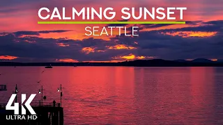 8 HRS Ocean Waves Sounds & Squawking Seagulls for Deep Relaxation - Pink Sunset over Seattle in 4K