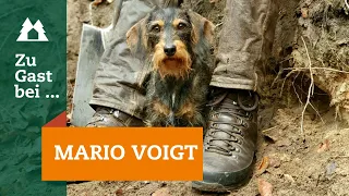 Baujagd | Fuchsjagd | "Zu Gast bei …" bei Mario Voigt | Folge 7 | Fuchsbau | Jagd mit Dackel