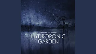 Hydroponic Garden