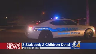 5-Year-Old And 7-Year-Old Stabbed To Death; Teen In Custody