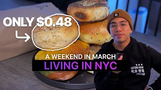 I GOT THESE BAGELS FOR (BASICALLY) FREE | Living alone in NYC at 23 years old