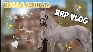 RRP VLOG|STAR STABLE|КОНОБЛОГ|НОВАЯ ЛОШАДЬ