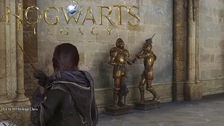 The guards in Hogwarts Legacy are NEXT LEVEL...