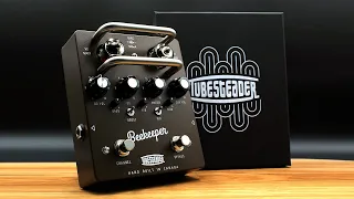 The Beekeeper - guitar preamp by Tubesteader, Canada.
