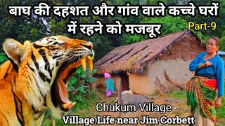 बाघ की दहशत और गांव वाले कच्चे घरों में रहने को मजबूर | Chukum Village #jimcorbett #tiger #wildlife
