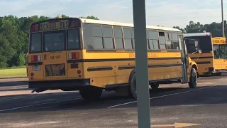 Various school buses