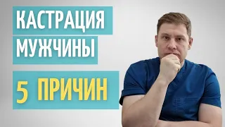 5 причин кастрировать мужчину // вазорезекция