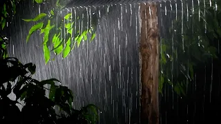 Rain and Thunder Sound Falling in a Hut in the Forest for Your SleepㅣBlack screen after 1 hourㅣ