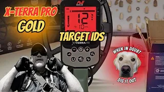 Minelab X-Terra Pro: What You Need to Know About Gold and Silver Rings.