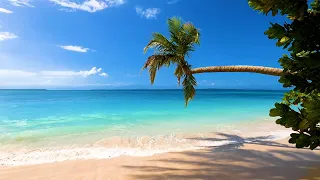 Szum fal Morza Karaibskiego na tropikalnej wyspie ★ 4K Ultra HD ★ Relaksująca Natura