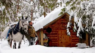 2-day solo bushcraft in the winter forest. -10,  a horse, a hut, a lot of snow.