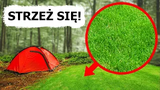 Jeśli zobaczysz tę zieloną polanę w lesie, natychmiast uciekaj!