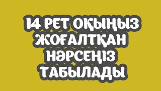 ЖОҒАЛТҚАН НӘРСЕНІ ТАБУ ҮШІН, 14 РЕТ ОҚЫҢЫЗ, Іздегеніңіз табылады, Бай мұсылман арнасы