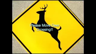 Please Move Deer Crossing - The Deer Lady