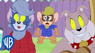 Tom y Jerry en Latino | Tom se vuelve genial | WB Kids