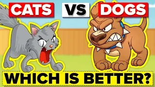 Why Are Dogs Better Than Cats?