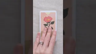 The Harmony Tarot Flip Through