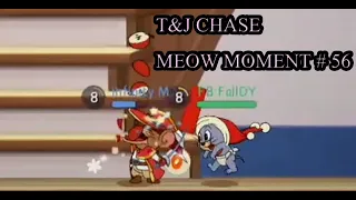 [T&J Chase] : Meow Funny Moment EP#56