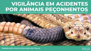 FVS - Vigilância em Acidentes por Animais Peçonhentos