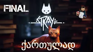 ფისუნია კატა Cyberpunk იდან STRAY PS5 ნაწილი 5 დასასრული