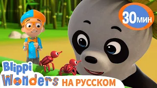 Блиппи и мультики про Животных 🐼 | Обучающие мультики для детей | Blippi Russian