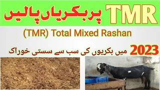 How to make TMR for Goats | Tmr Formula for goats | total mixed rashan | @goatfarmingpk