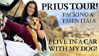 PRIUS TOUR! Year 2, LIVING in a CAR with a DOG: How to, Packing & Essentials!