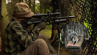 The Airgun Show – hectic autumn squirrel hunting, PLUS world-beating QYS airgun pellets on test…