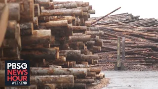 Can Oregon's timber Industry make a comeback?