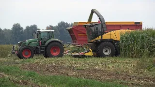 Mais hakselen door loonbedrijf Altena met New Holland FR9050 en Fendt trekkers (2022)