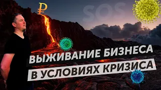 Новости бизнеса: выживание предпринимателей в условиях кризиса, как не сломаться и выйти победителем