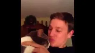 Кошка не любит поцелуи)) [funjokeman]