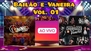 Bailão e Vaneira Vol. 01