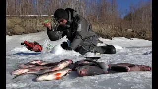 ЭТО ПОСЛЕДНИЙ ЛЕД РЕБЯТА!!Рыбалка 2020,лещ,окунь,комбайны,Обь,безмотылка.