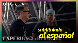 blink-182 | Coachella 2023 Experience (En español)