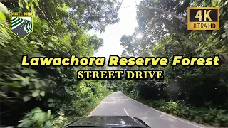 360 drive through Lawarhora Reserve forest | Street Drive