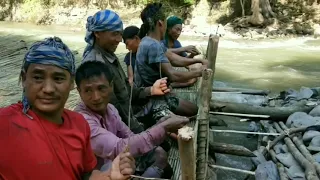 biggest 🐟  fish trap in nagaland...Sumi tribe