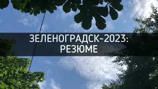 Зеленоградск-2023: резюме