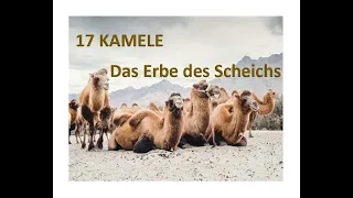 17 Kamele - Das Erbe des Scheichs #17 #kamele #Erbe #Scheich #konfliktlösung #naherosten #weisheit