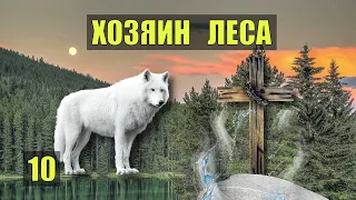 МЕРТВЕЦ на ДОРОГЕ НАХОДКА ВОЛКА ХОЗЯИН ЛЕСА СУДЬБА в ТАЙГЕ СТРАШНЫЕ ИСТОРИИ из ЖИЗНИ СЕРИАЛ 10