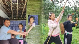 The two children harvested oranges to sell, and the grandfather made and decorated the room