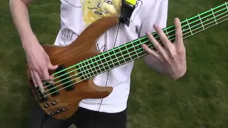 Animals As Leaders - CAFO (Bass Cover)