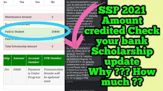 SSP SCHOLARSHIP | Amount credited to bank | Check now | 2021 SSP amount credited | Pr News