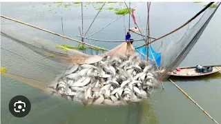 অসাধারণ মাছ ধরা Great fishing