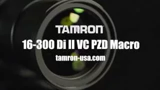 Tamron 16-300mm Di II VC PZD Macro: PZD (Piezo Drive)