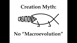 Creation Myth: No "Macroevolution"