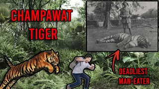 REAL LIFE MONSTERS - Deadliest Man-Eater Ever - Champawat Tiger